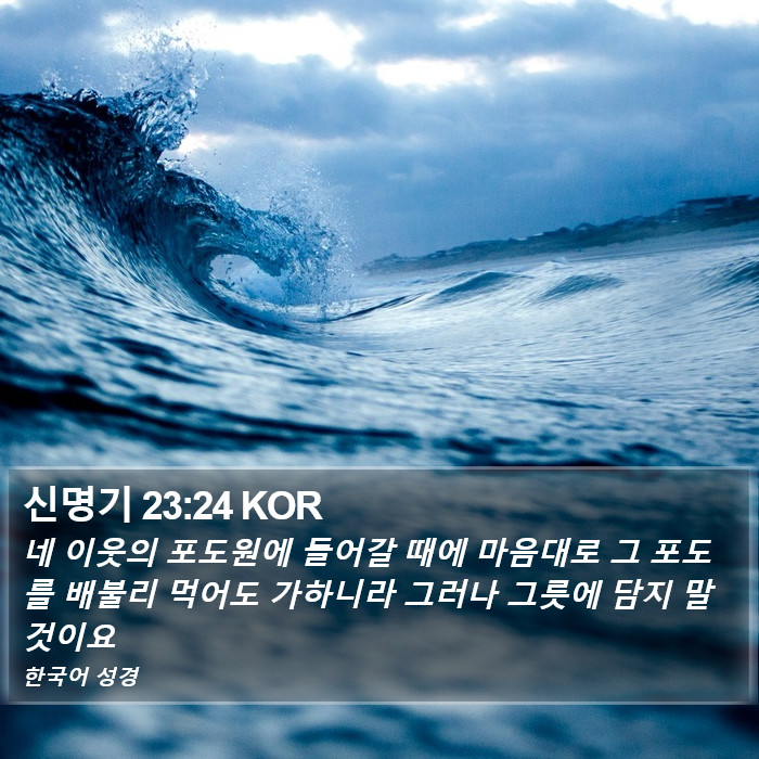 신명기 23:24 KOR Bible Study