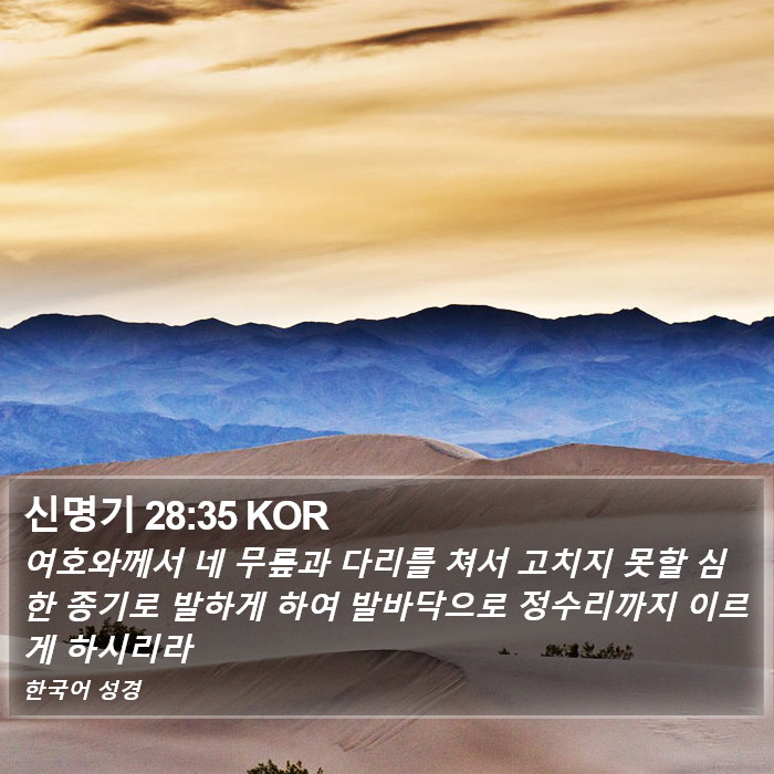 신명기 28:35 KOR Bible Study