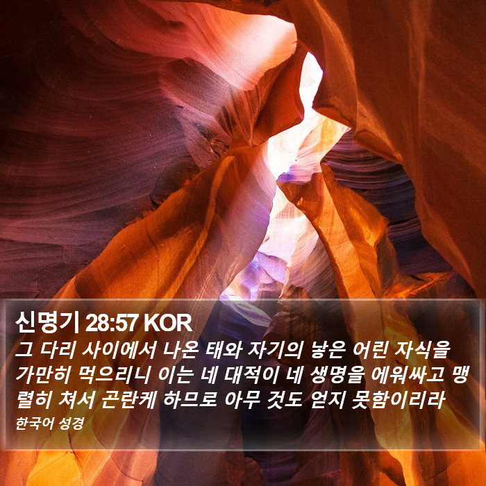 신명기 28:57 KOR Bible Study