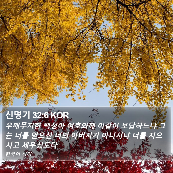 신명기 32:6 KOR Bible Study