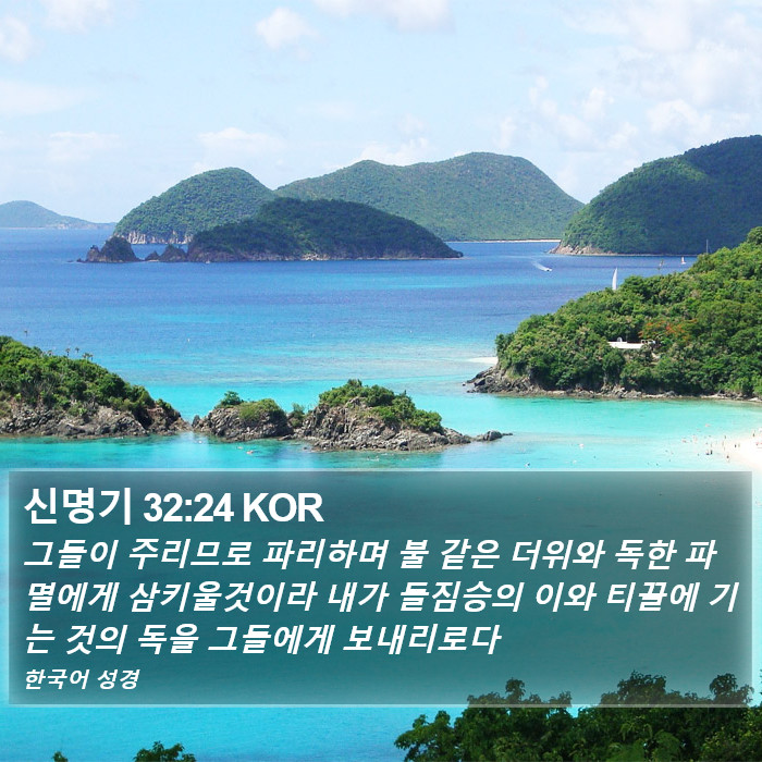 신명기 32:24 KOR Bible Study