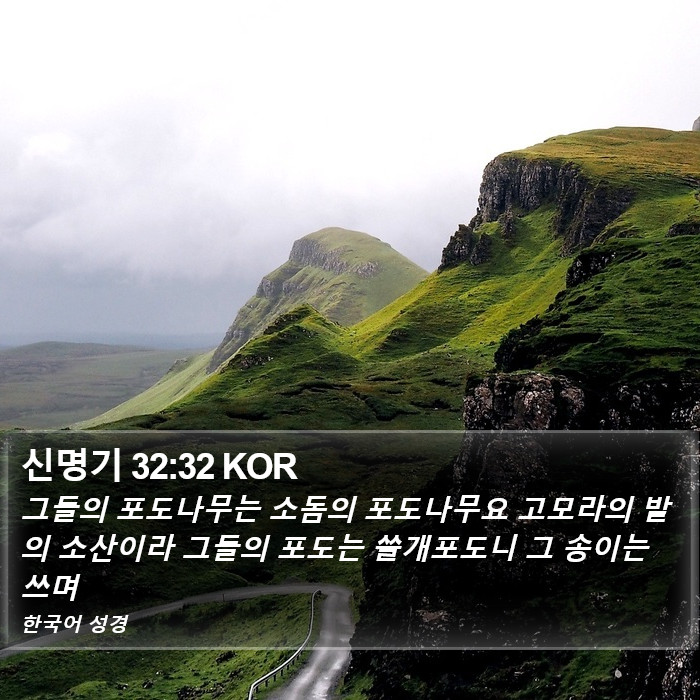 신명기 32:32 KOR Bible Study