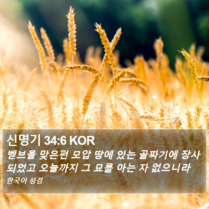 신명기 34:6 KOR Bible Study