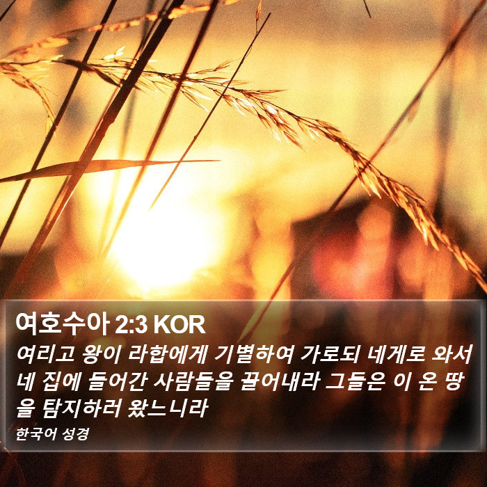 여호수아 2:3 KOR Bible Study