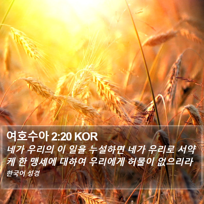 여호수아 2:20 KOR Bible Study