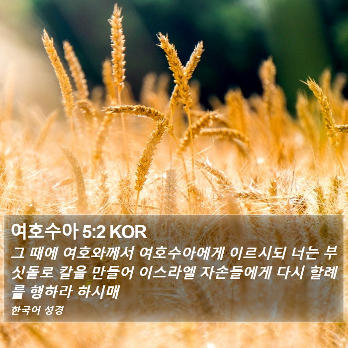 여호수아 5:2 KOR Bible Study