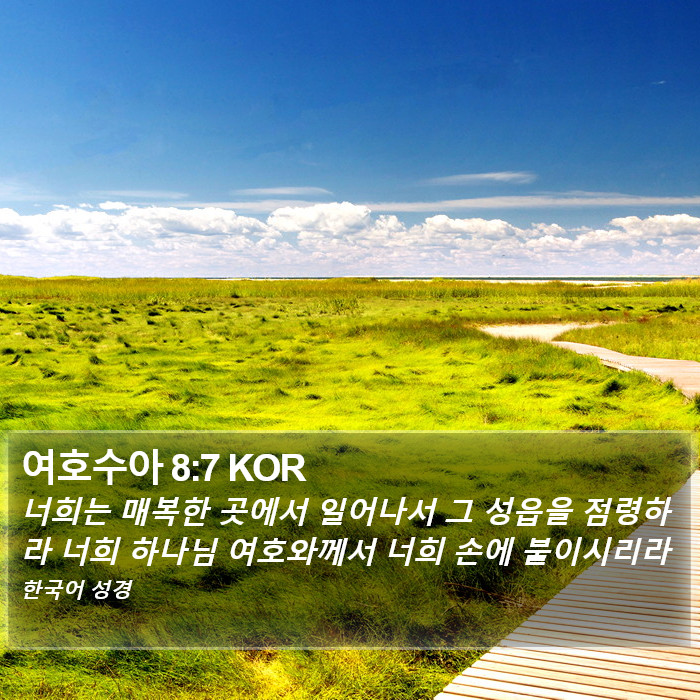 여호수아 8:7 KOR Bible Study