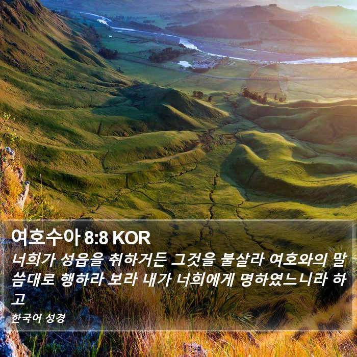 여호수아 8:8 KOR Bible Study
