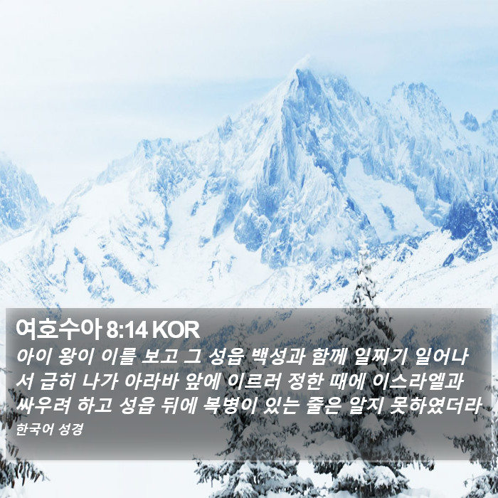 여호수아 8:14 KOR Bible Study