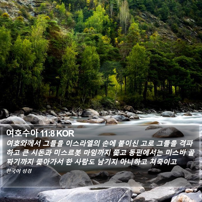 여호수아 11:8 KOR Bible Study