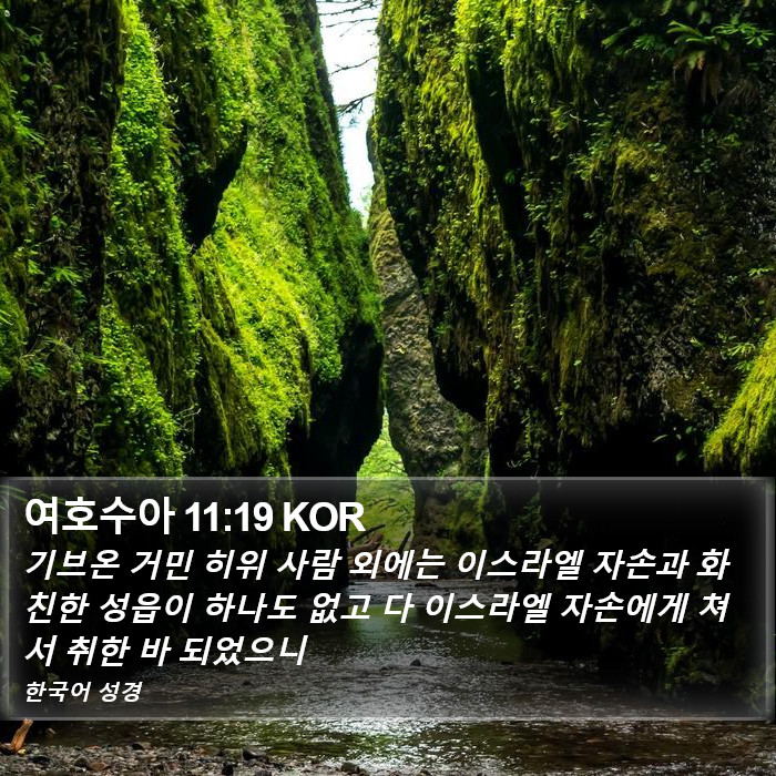 여호수아 11:19 KOR Bible Study