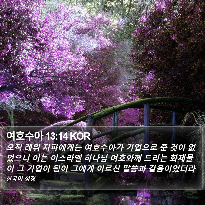 여호수아 13:14 KOR Bible Study