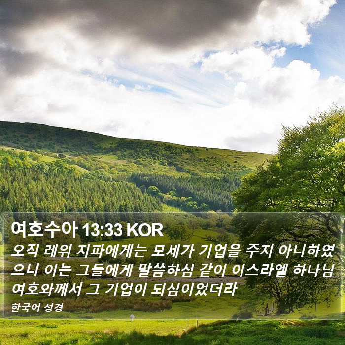 여호수아 13:33 KOR Bible Study