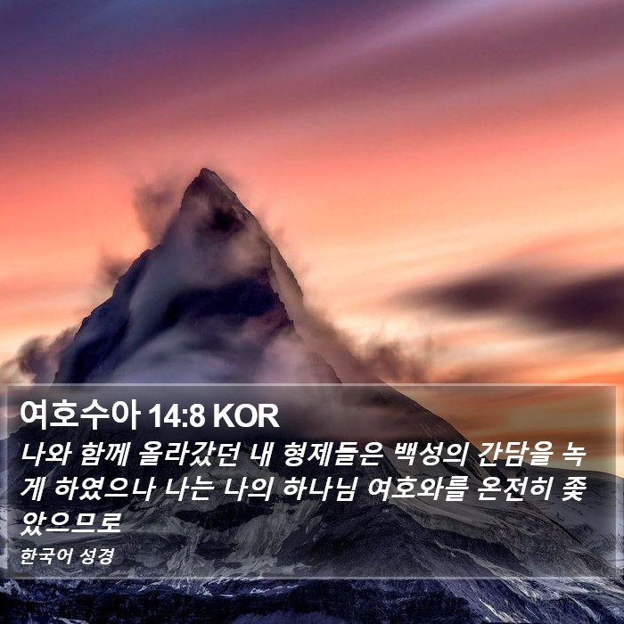 여호수아 14:8 KOR Bible Study