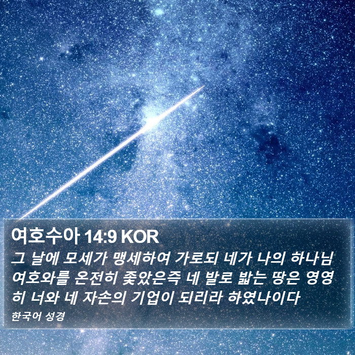 여호수아 14:9 KOR Bible Study