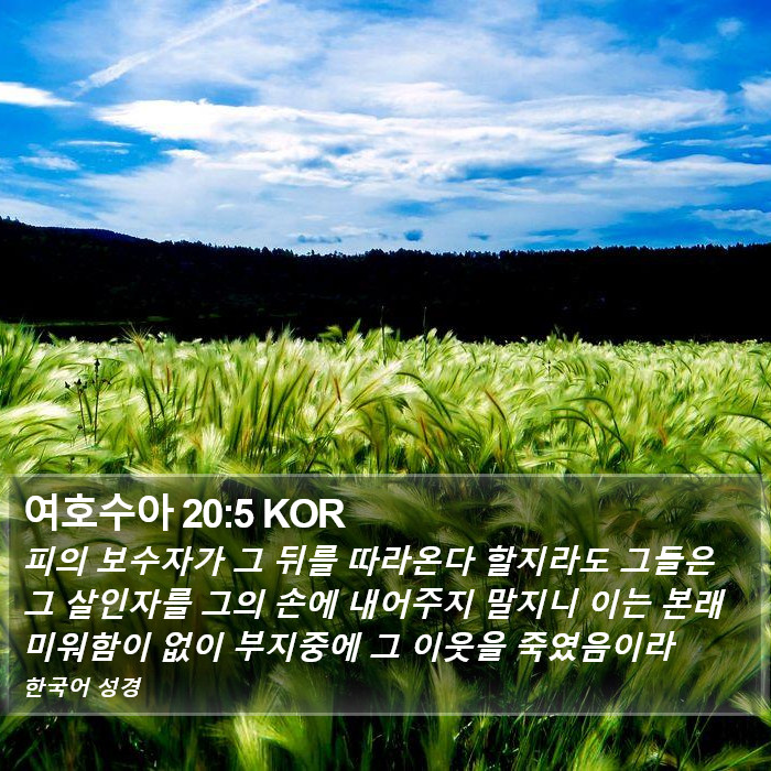 여호수아 20:5 KOR Bible Study