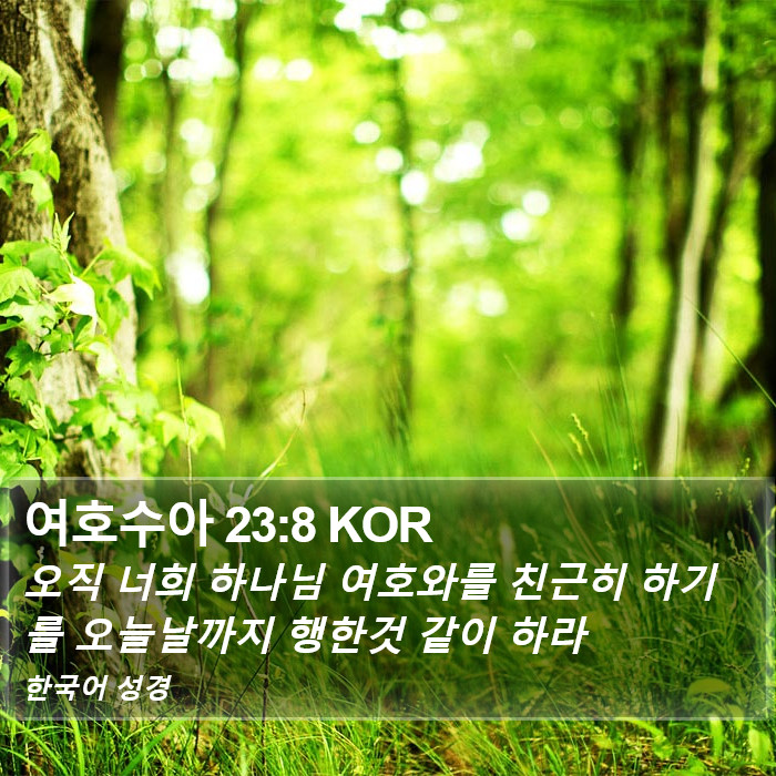 여호수아 23:8 KOR Bible Study