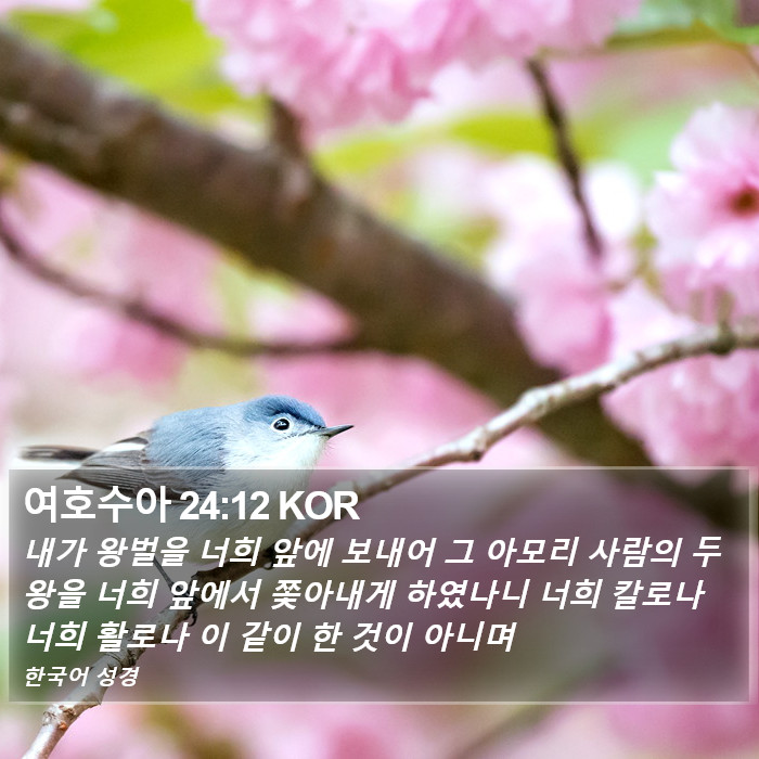 여호수아 24:12 KOR Bible Study