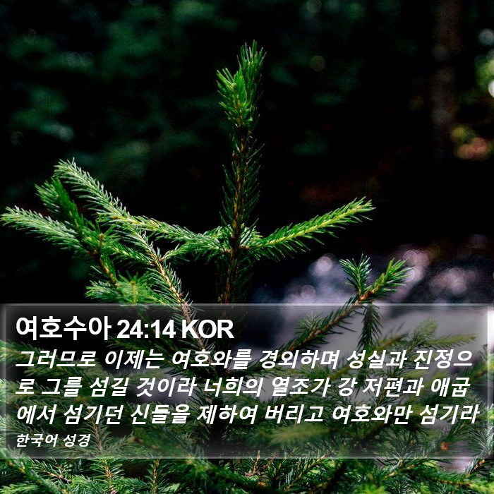 여호수아 24:14 KOR Bible Study