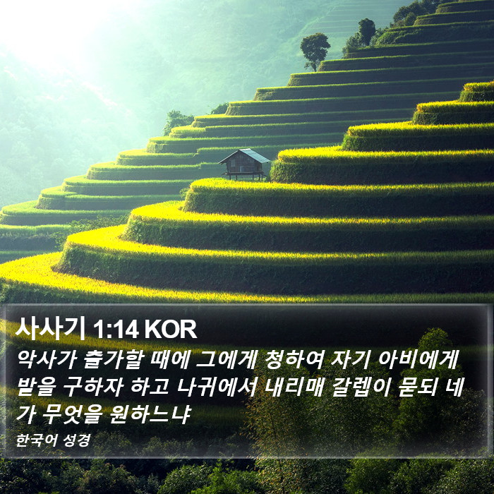 사사기 1:14 KOR Bible Study