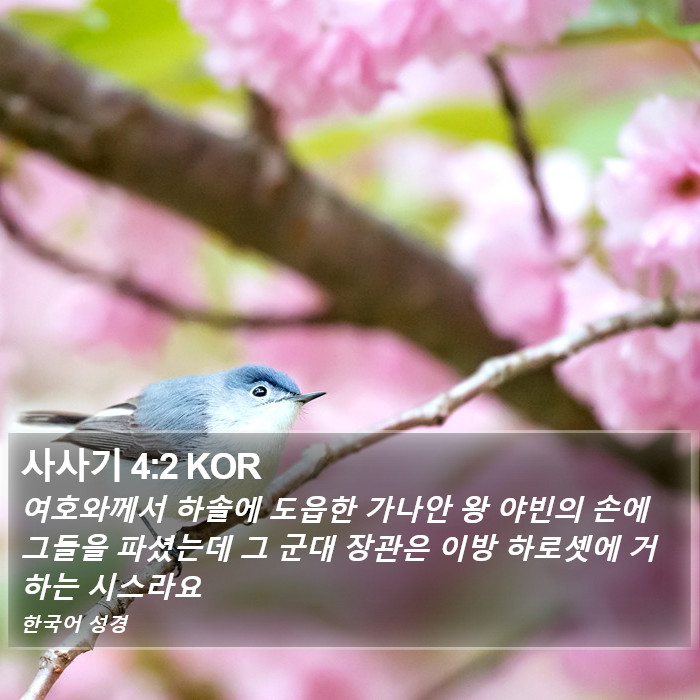 사사기 4:2 KOR Bible Study