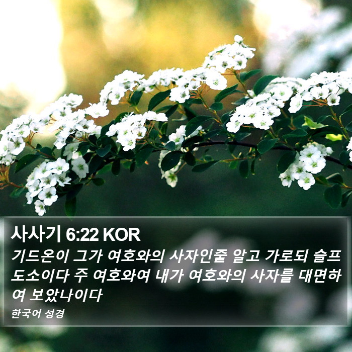 사사기 6:22 KOR Bible Study