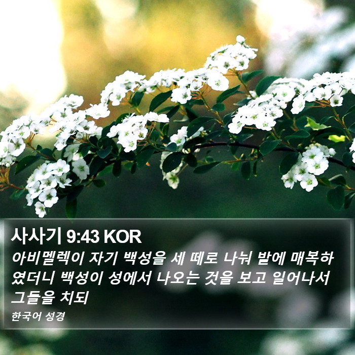 사사기 9:43 KOR Bible Study