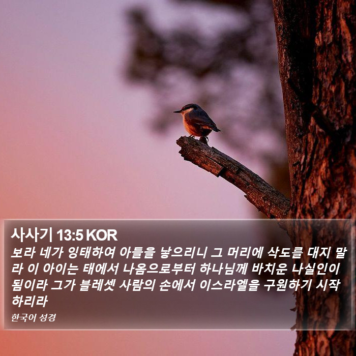 사사기 13:5 KOR Bible Study