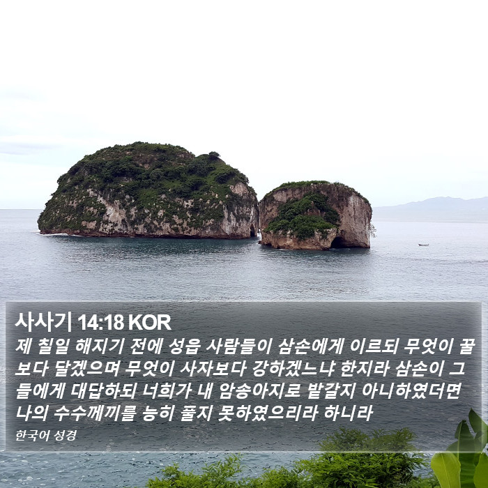 사사기 14:18 KOR Bible Study