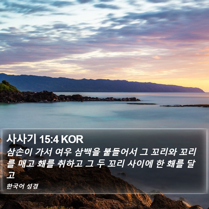 사사기 15:4 KOR Bible Study