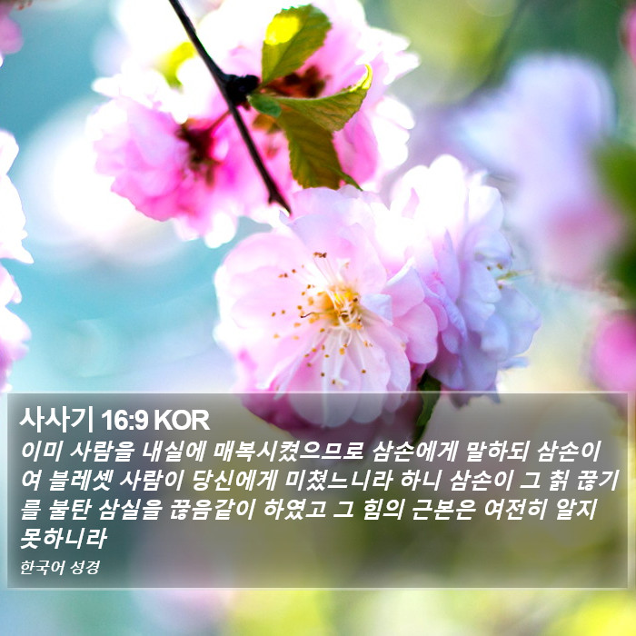 사사기 16:9 KOR Bible Study