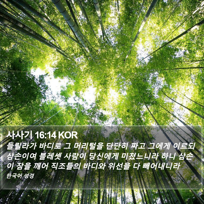 사사기 16:14 KOR Bible Study