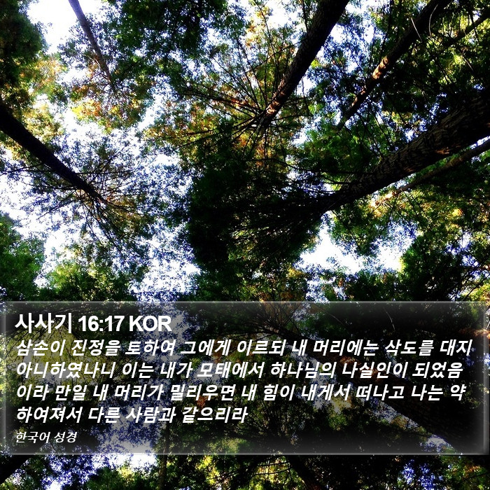 사사기 16:17 KOR Bible Study