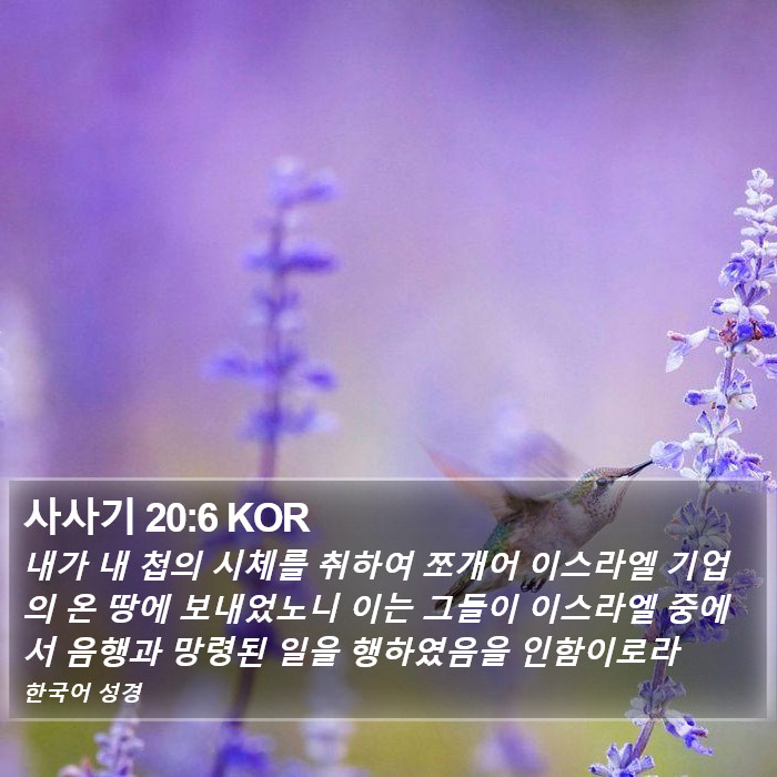 사사기 20:6 KOR Bible Study