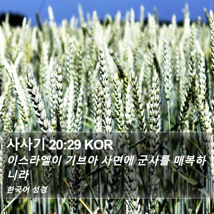 사사기 20:29 KOR Bible Study