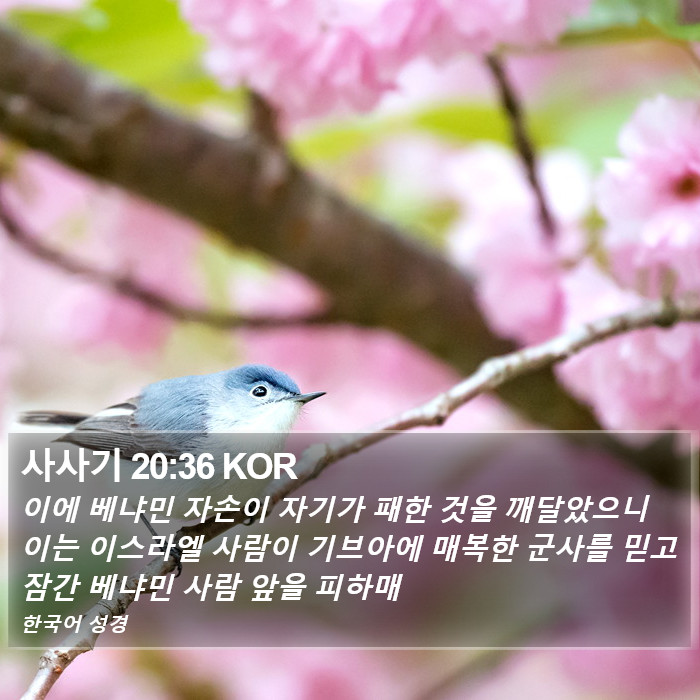 사사기 20:36 KOR Bible Study