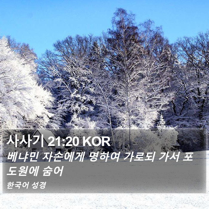 사사기 21:20 KOR Bible Study