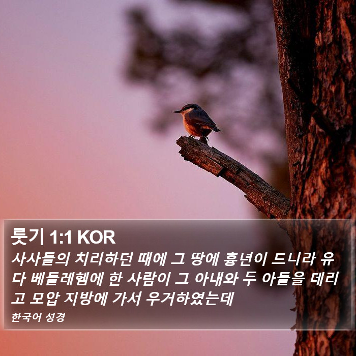 룻기 1:1 KOR Bible Study