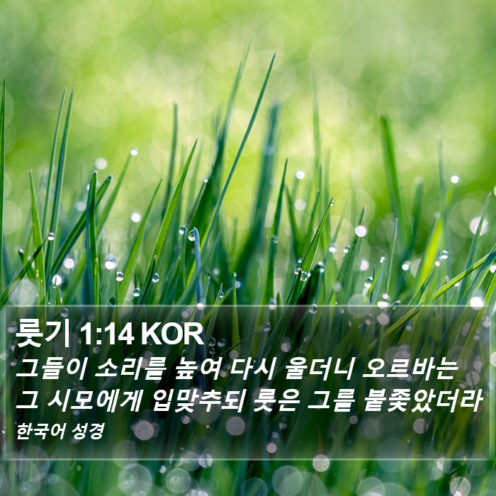 룻기 1:14 KOR Bible Study