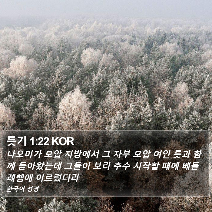 룻기 1:22 KOR Bible Study