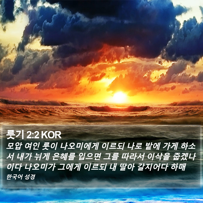 룻기 2:2 KOR Bible Study