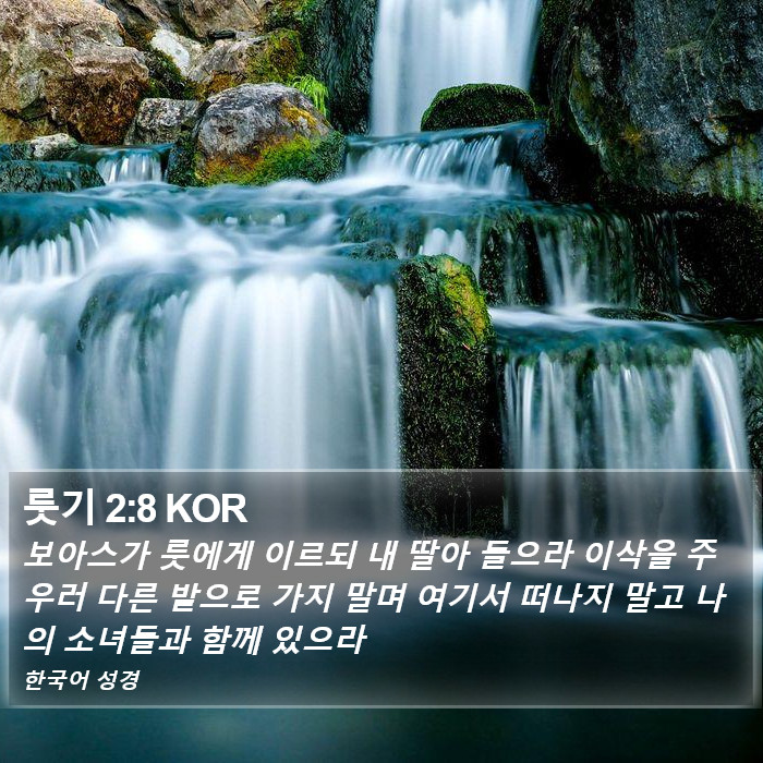 룻기 2:8 KOR Bible Study