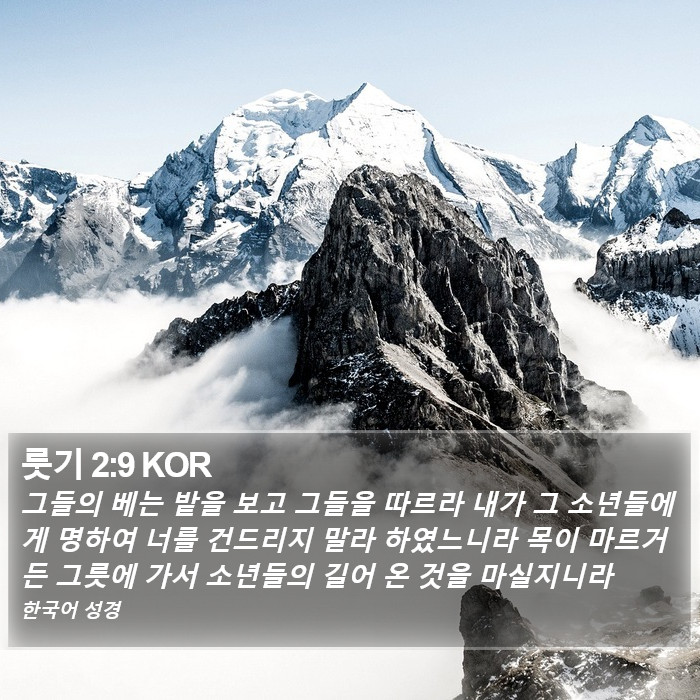 룻기 2:9 KOR Bible Study