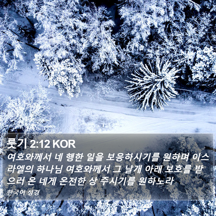 룻기 2:12 KOR Bible Study