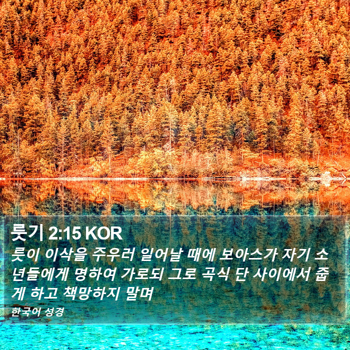 룻기 2:15 KOR Bible Study