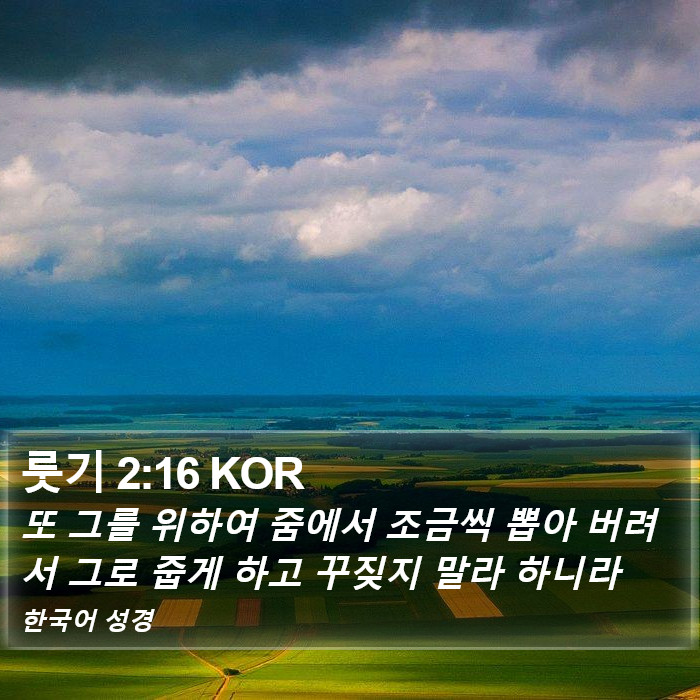 룻기 2:16 KOR Bible Study