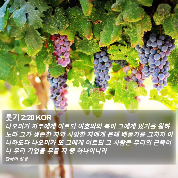 룻기 2:20 KOR Bible Study