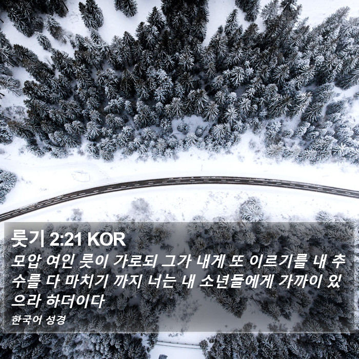 룻기 2:21 KOR Bible Study