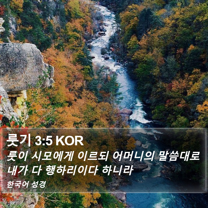 룻기 3:5 KOR Bible Study