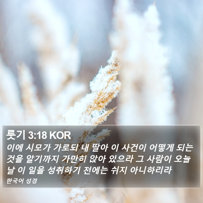 룻기 3:18 KOR Bible Study